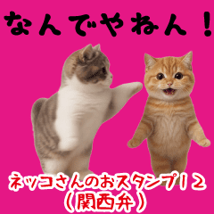 [LINEスタンプ] ネッコさんのおスタンプ12