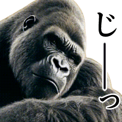 [LINEスタンプ] 【圧が強い】イケメンゴリラ