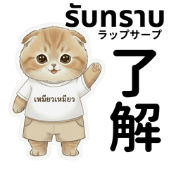 [LINEスタンプ] にゃんこタイ語日本語会話