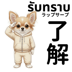 [LINEスタンプ] チワワ犬のタイ語日本語挨拶