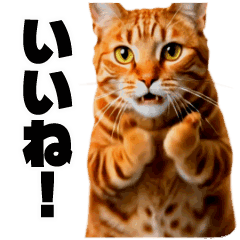 [LINEスタンプ] 軽量！優しく励ます猫のカンフーなスタンプ