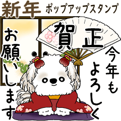 [LINEスタンプ] 飛び出すシーズー犬 2026 「新年」