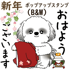 [LINEスタンプ] B＆W 飛び出すシーズー犬 2026 「新年」