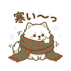 [LINEスタンプ] ゆるかわ白ポメ♪癒しの手描きスタンプ