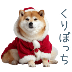 [LINEスタンプ] クリスマスな柴犬【かわいい・連絡】