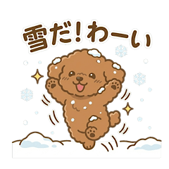 [LINEスタンプ] 【日常＆冬】ゆるかわトイプードル