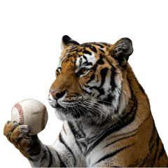 [LINEスタンプ] 熱狂虎ファン！叫んで野球応援