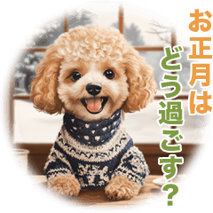 [LINEスタンプ] トイプードルの冬のことば