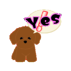 [LINEスタンプ] トイプードル(3色)が動いてアピールします