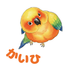 [LINEスタンプ] ふっくらコガネメキシコインコ