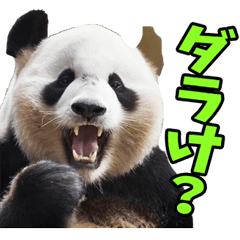[LINEスタンプ] 富山弁☆パンダ