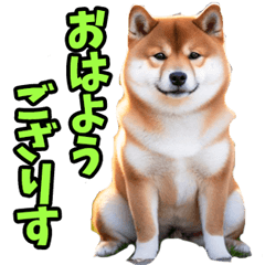 [LINEスタンプ] 宮城仙台弁☆柴犬