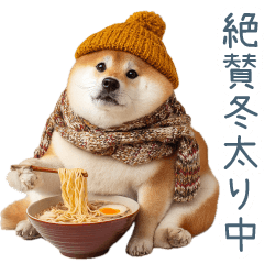 [LINEスタンプ] 冬のおデブな柴犬【ダイエット・面白い】