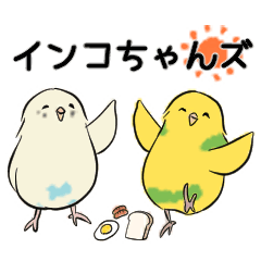 [LINEスタンプ] インコちゃんズの日常