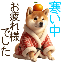 [LINEスタンプ] 柴犬【リアル04】年末年始・冬・年中使える