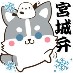 [LINEスタンプ] 宮城弁＆仙台弁のハスキーとシマエナガ