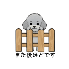 [LINEスタンプ] 使いやすい長文のトイプードル②(敬語)