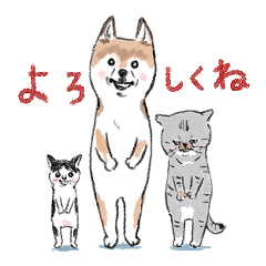 [LINEスタンプ] shimashima家のゆかいな仲間たち