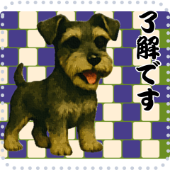 [LINEスタンプ] 犬の メッセージ スタンプ 109