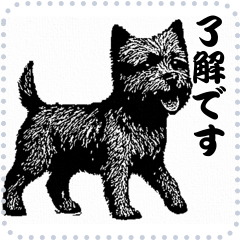 [LINEスタンプ] 犬の メッセージ スタンプ 35