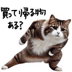 [LINEスタンプ] 猫ネコねこ★毎日必ず使う家族連絡