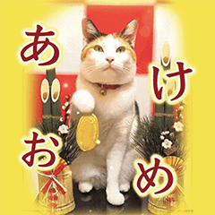 [LINEスタンプ] 大人お洒落な煌めく年末年始