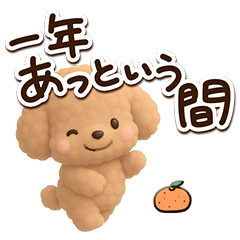 [LINEスタンプ] トイプードル「アプリコット」3D【冬】