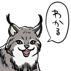 [LINEスタンプ] しゃべるヤマネコ