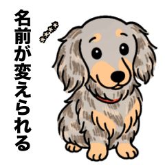 [LINEスタンプ] 名前入りダックスイザベラダップルイエロー