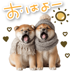 [LINEスタンプ] 毎日使えるBIG柴犬【連絡・でか文字】