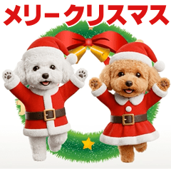 [LINEスタンプ] 踊る！サンタトイプードル【クリスマス】