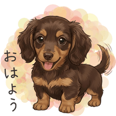 [LINEスタンプ] いつでも使える♡ダックスの日常