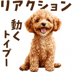 [LINEスタンプ] トイプードルの動くリアクション・スタンプ