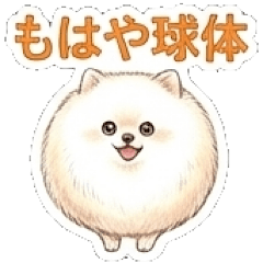 [LINEスタンプ] ほぼ大福な毛玉ポメ【家族/彼氏/先輩】