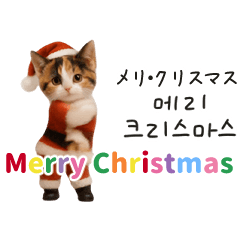 [LINEスタンプ] 踊るサンタこねこの韓国語♡