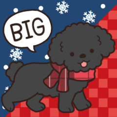 [LINEスタンプ] やさしいトイプー『年末年始2026』3