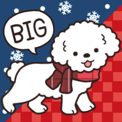 [LINEスタンプ] やさしいトイプー『年末年始2026』4