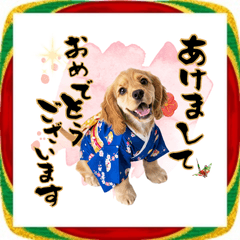 [LINEスタンプ] アメコカ子犬の晴れ着スタンプ♡2026お正月