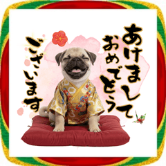 [LINEスタンプ] 笑顔で迎える2026♡お正月パグ年賀