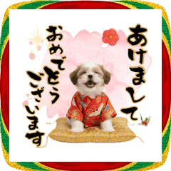 [LINEスタンプ] 笑顔で迎える2026♡お正月シーズー年賀