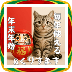 [LINEスタンプ] 毎年使えるアメリカンショートヘア年末年始