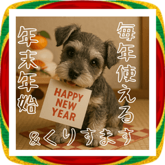 [LINEスタンプ] 毎年使えるミニチュアシュナウザー年末年始