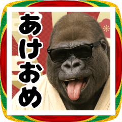 [LINEスタンプ] グラサンゴリラのあけおめスタンプ