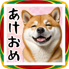 [LINEスタンプ] 柴犬のあけおめスタンプ 年末年始