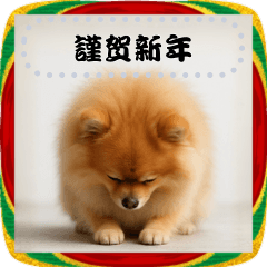 [LINEスタンプ] ポメラニアンとお正月！メッセージ自由