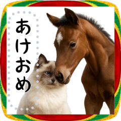 [LINEスタンプ] ラグドールとお正月！メッセージ自由