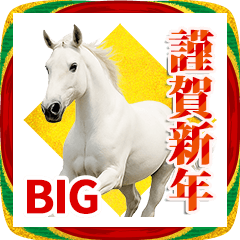 [LINEスタンプ] 馬の写真【年賀・日常】BIGスタンプ