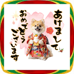 [LINEスタンプ] ふわもこポメラニアン子犬のお正月スタンプ