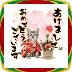 [LINEスタンプ] アメショ子猫の晴れ着スタンプ♡お正月2026