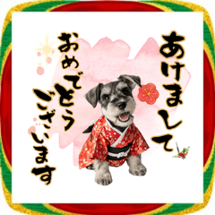 [LINEスタンプ] ミニチュアシュナウザー子犬のお正月